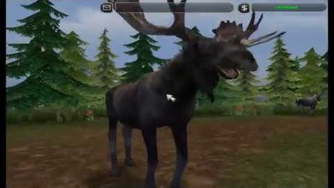 Zoo Tycoon 2 Speed Build Exhibit - Moose