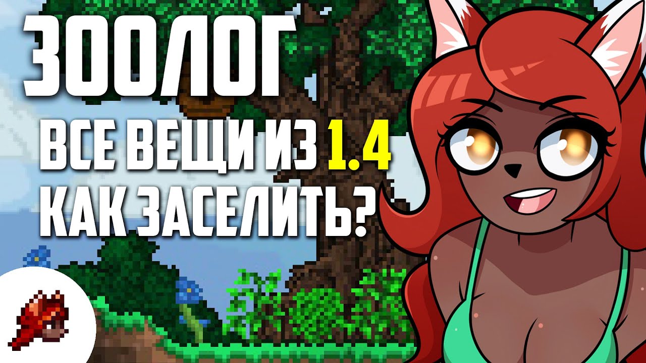 Печки террария виды