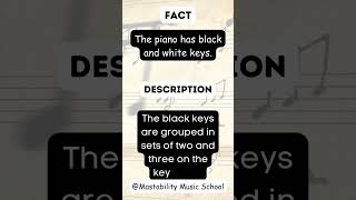 The Piano Has Black And White Keys screenshot 5