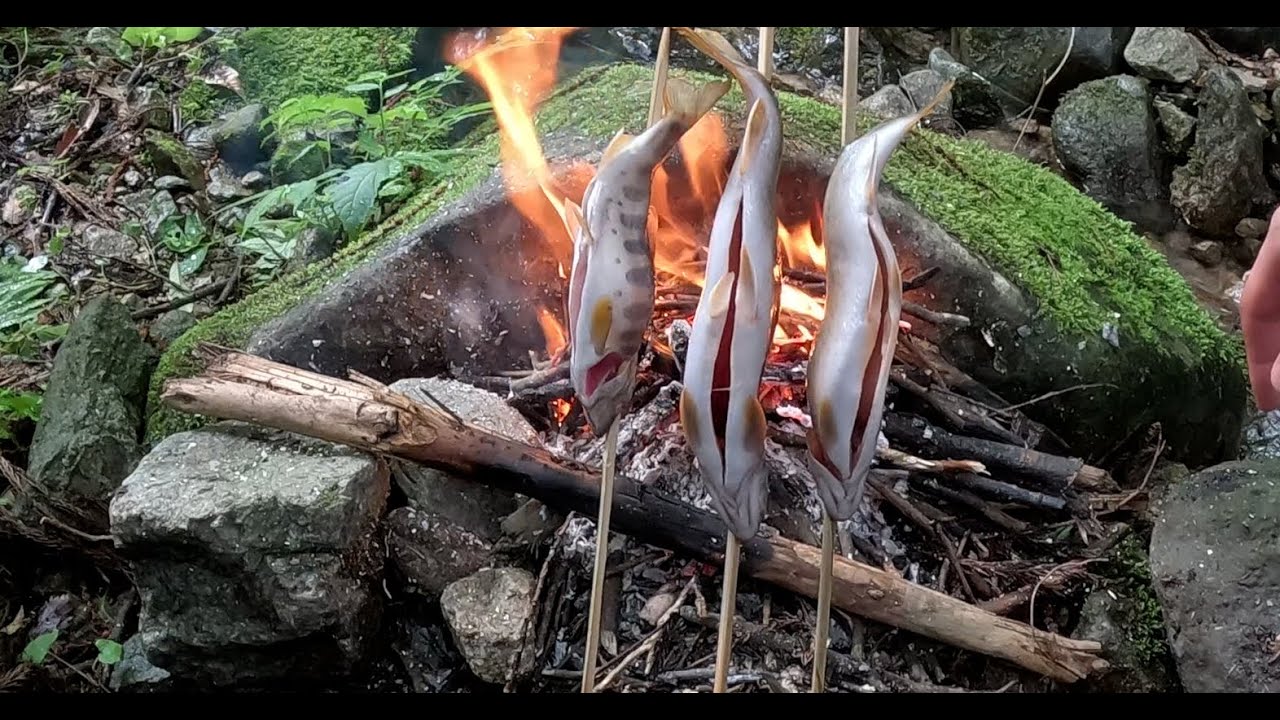 釣って焼いてな朝日連峰