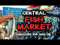 ලංකාවේ ලොකුම මාලු පොල | අඩුවට මාලු ගන්න එන්න |Central fish market complex | Paliyagoda | Sri Lanka