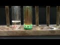 Copper reaction with nitric acid