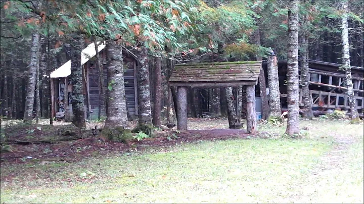 Martin's Old Off Grid Log Cabin #36 Morning Coffee With the Spruce Grouse