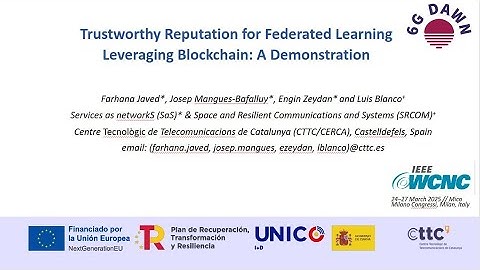 Trustworthy Reputation for Federated Learning Leveraging Blockchain: A Demonstration