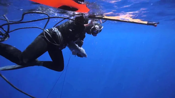 Sean Gilbert Spearfishing Oahu, Hawaii