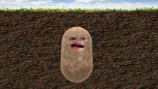 The Potato Reads Odd Thomas Chapter 8