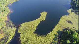 Ozawindib Macrophyte Sampling 9