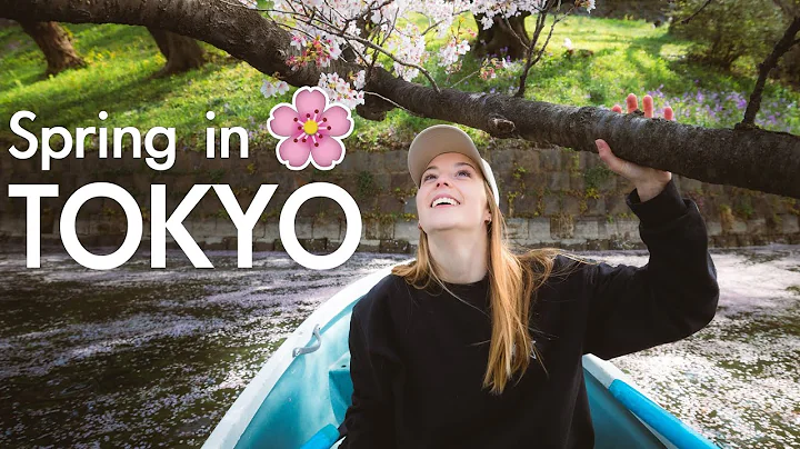 What is Cherry Blossom Season REALLY like?! Tokyo, Japan - DayDayNews