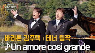 Un Amore Cosi Grande(B/C/D) (테너 / 성악 / 최영민 편곡) - G.M.Ferilli