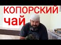 КОПОРСКИЙ ЧАЙ СВОИМИ РУКАМИ. ИВАН ЧАЙ КРУПНОЛИСТОВОЙ.