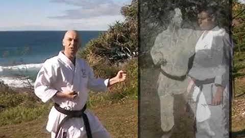 Pinan Nidan (Heian Shodan) old style opening move & one bunkai option