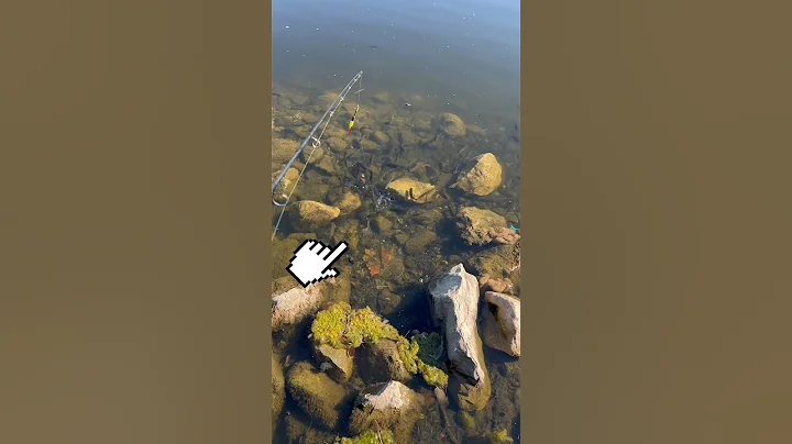 CAUGHT A Fish INSTANTLY (.0002 Seconds)!! 🎣🐟 #shorts #fishing