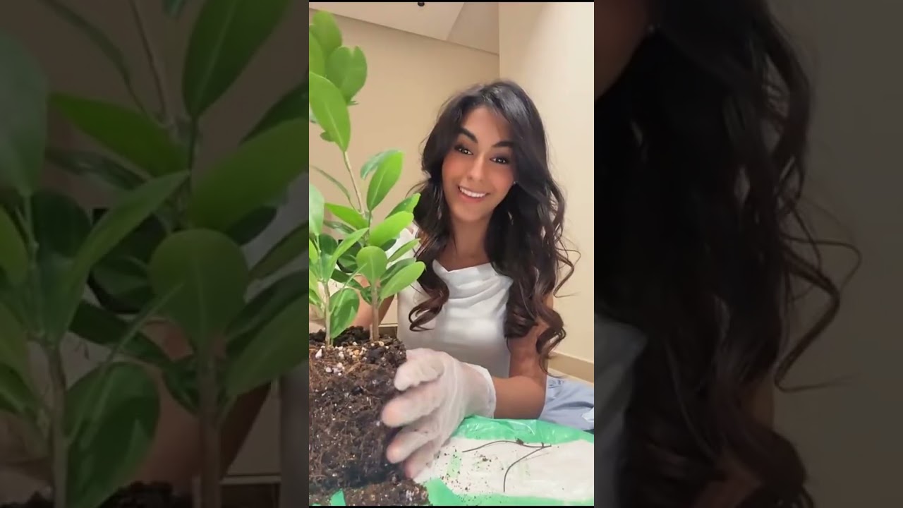سنابات انتصار الشريف | عيال سمية 😍