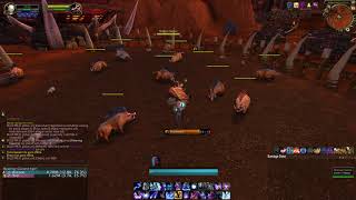 Arcane Mage Hidden Articact Bug