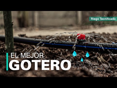 Video: ¿Puedo cambiar un aspersor por una línea de goteo?