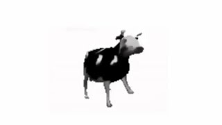 Польская корова танцует 10 ЧАСОВ