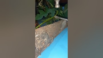 Thought My Saw Was Dead… Until THIS!