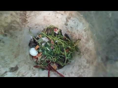 Video: How To Garden Recycle - Gamitin ang 