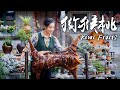 「一席一果」猕猴桃——吃完这只猕猴桃烤全羊，才算真正进入冬天【滇西小哥】