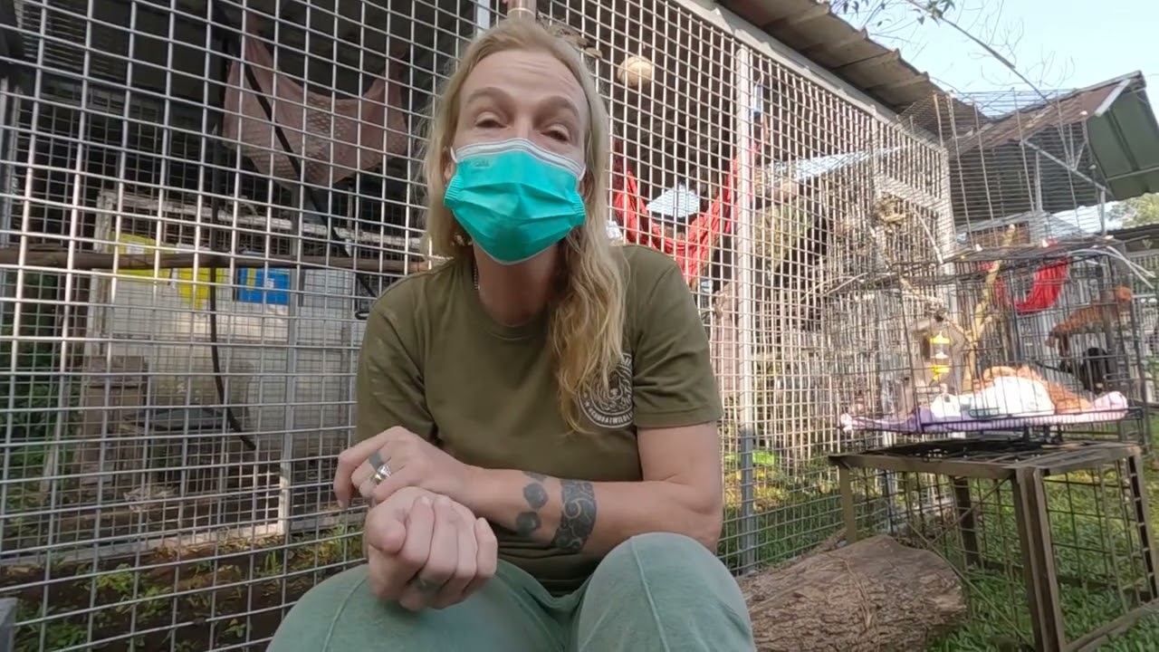 Nina Translocation from Java center to Sumatra August 2025