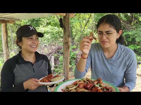 Bety y Roxana prueban la anguilla por primera vez 🤢 esta fue su reacción