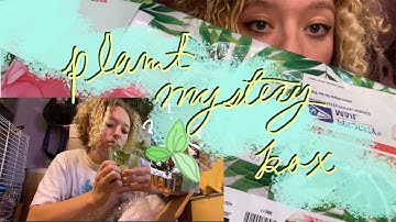 Mystery Plant Box Unboxing!
