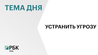 В Башкортостан временно запрещен ввоз пчёл из Средней Азии