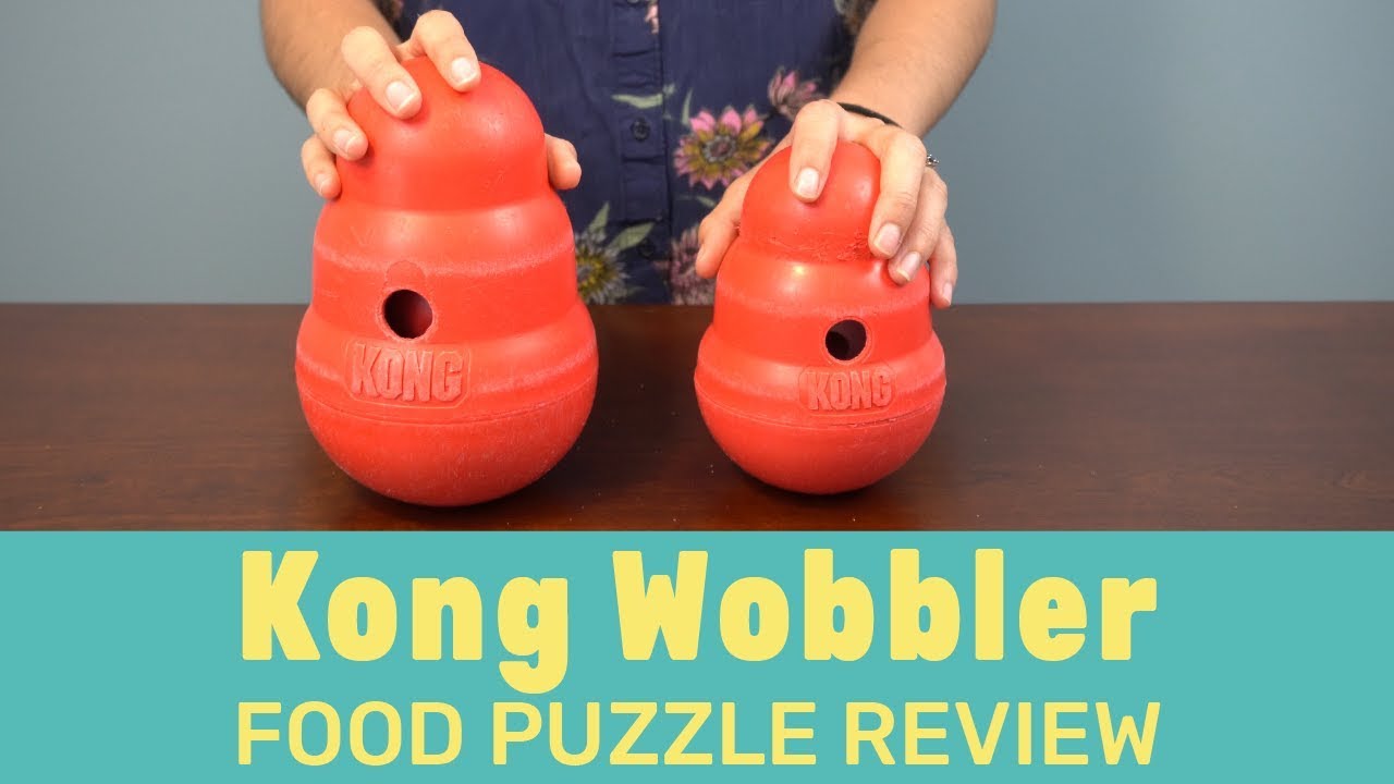 Product Review: Kong Genius, Kong Wobbler