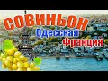 СОВИНЬОН (Одесса) курорт ОБЗОР с высоты ПЛЯЖИ и ОТЕЛИ, интересные места / отдых на Черном море 2021