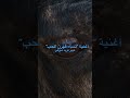 نساء قهرهن الحب شعر عربي أثير