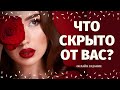 ЧТО СКРЫТО ОТ МЕНЯ? ЧТО СТАНЕТ ЯВНЫМ? ЧТО МНЕ НАДО ЗНАТЬ? что было что будет/ что скрыто таро