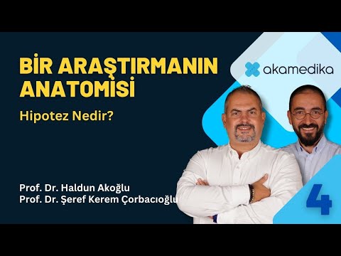 Bir araştırmanın anatomisi - 4: Hipotez nedir?
