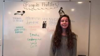 Psa african penguins apes