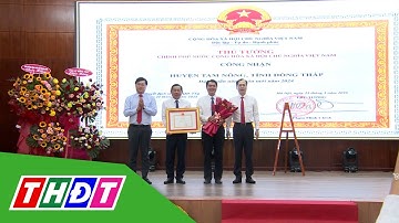 Tam Nông công bố đạt chuẩn huyện Nông thôn mới | THDT
