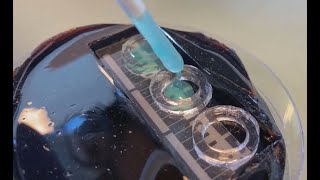 Using A Sugar Mold To Make Super-Soft Brain Implants