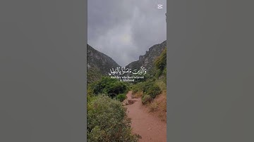 القرآن الكريم.تلاوة هادئة #استغفرالله #راحة_نفسية #تيك_توك #لايك #اكسبلور #ترند #استغفار
