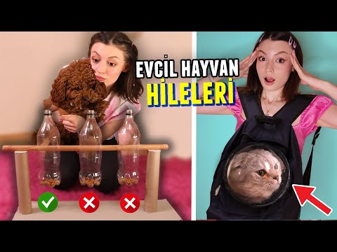 Video: Sizden Çok Daha İyi Olan 12 Çocuk