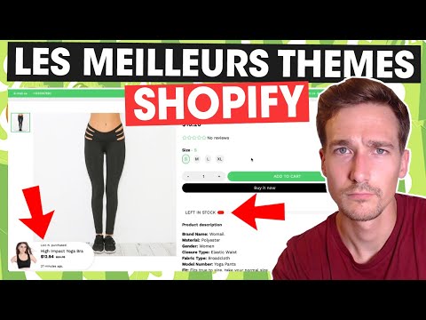 LES 5 MEILLEURS THEMES SHOPIFY 2021 !! (pour le dropshipping)