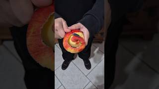 Qual a letra do seu verdadeiro amor? 🍎🐈‍⬛ #witch #witchcraft #spells #love #amor #witches #pagan