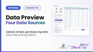 Data Preview · Four Data Sources | DataViz Pro Tutorial Guide