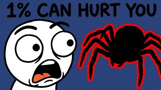 «Less Than 1% of Spiders Can Hurt You. So Why Are You Terrified»