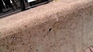 Celebrity Marcus Ericsson Cooks Up Success Net Worth