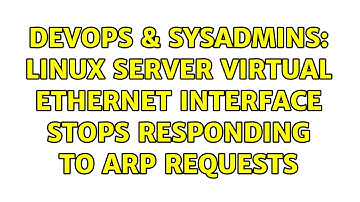 DevOps & SysAdmins: Linux Server Virtual Ethernet interface stops responding to arp requests