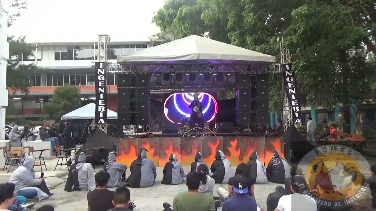 rey feato de ingenieria 2025, rey feo parrocomunicacho del consolano del trino del chompipe