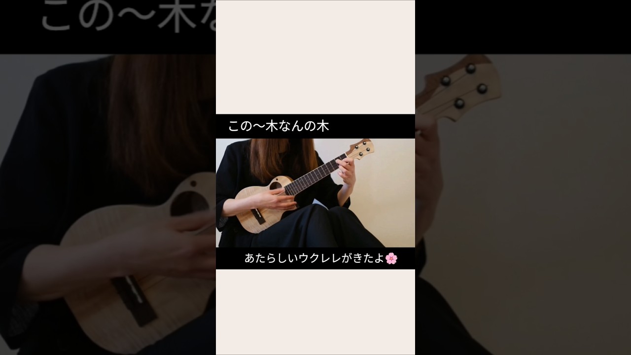 この木なんの木?新しいウクレレ🌳