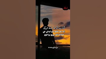 قرآن کریم پښتو ترجمه سورة الروم آيات 36-37 Quran with Pashto Translation