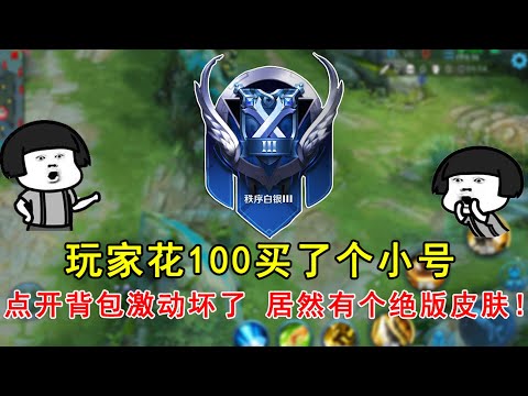 王者荣耀：玩家花100买了个小号，点开背包激动坏了，居然有个绝版皮肤！