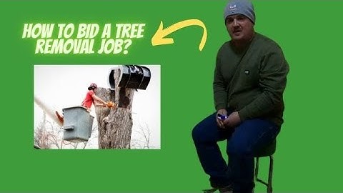 How to bid a tree job?