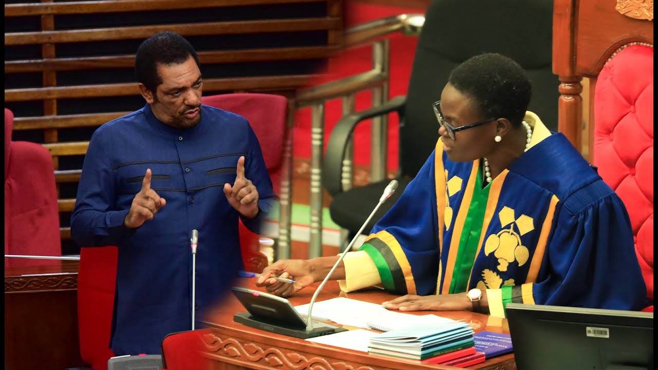 BILA AIBU MBUNGE SHABIBY AWAKA BUNGENI, 