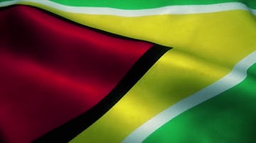 [10 Hours] Guyana Flag Waving - Video & Audio - Waving Flags